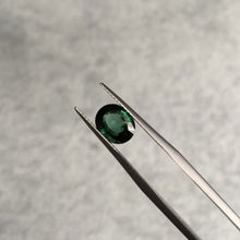 ギャラリービューアグリーントルマリン 1.726ct (ソーティング付)【Americano/Macchinetta】に読み込んでビデオを見る